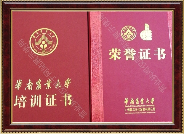 胡雪雁“農(nóng)大培訓(xùn)結(jié)業(yè)證書”