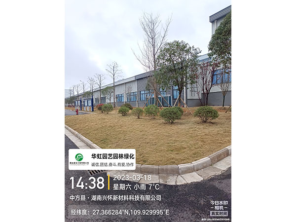 湖南興懷新材料有限公司綠化施工現(xiàn)場